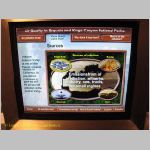 20060823_Sequoia_025 copia.jpg